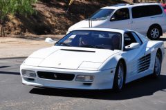 dsc_2597 dsc_2597
